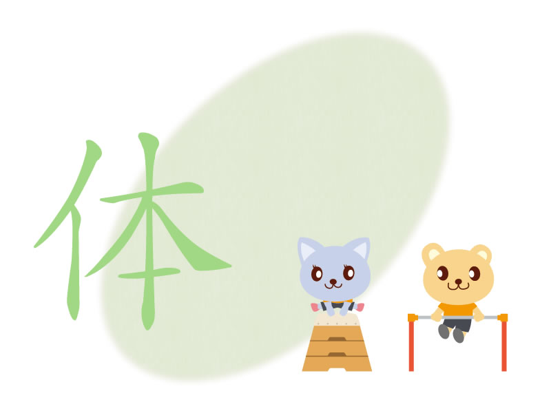 体